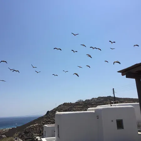 アパート A&a House Mykonos A アノ・メラ